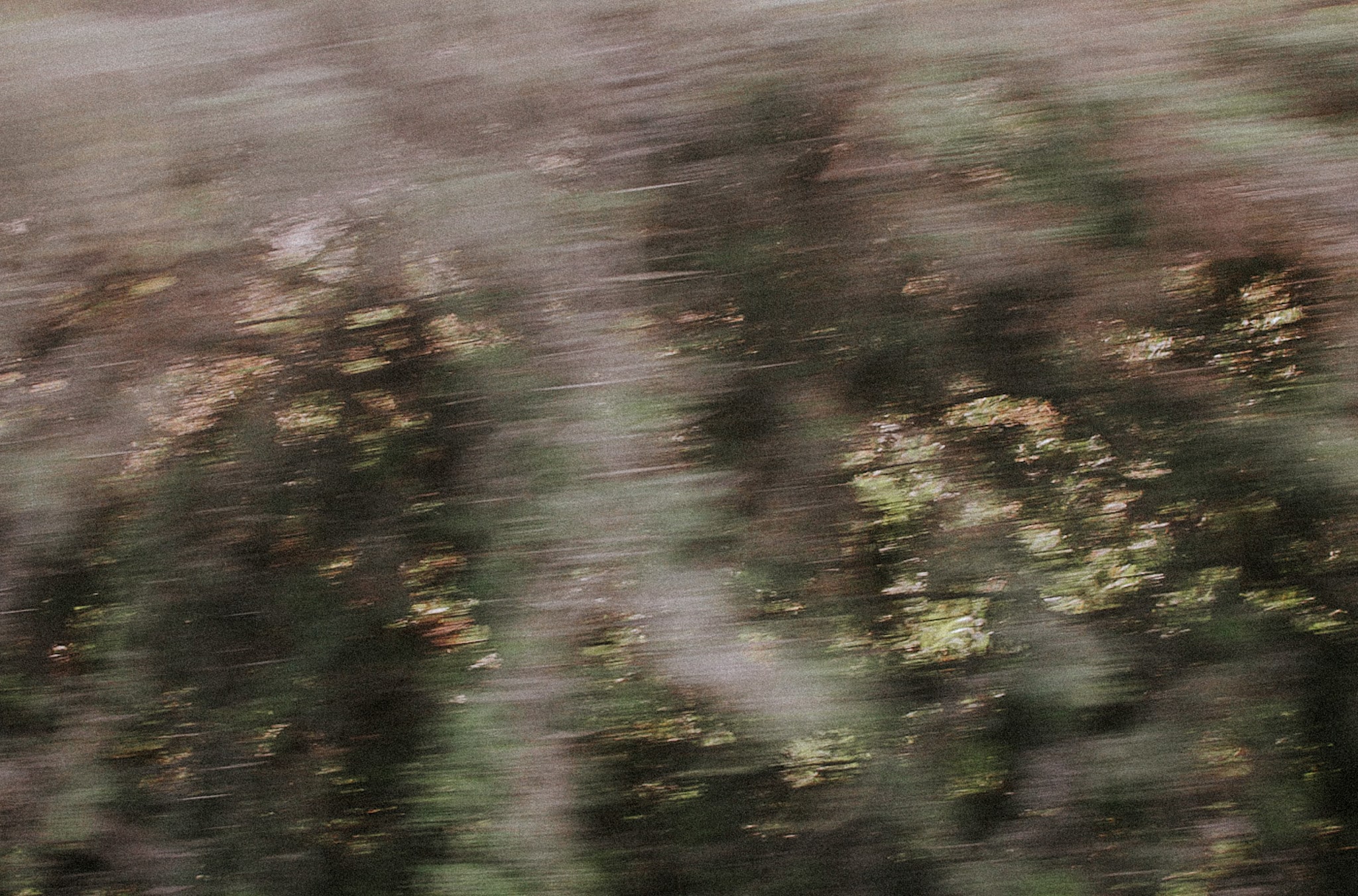 ¿Conoces la verdadera causa del daño de nuestro planeta